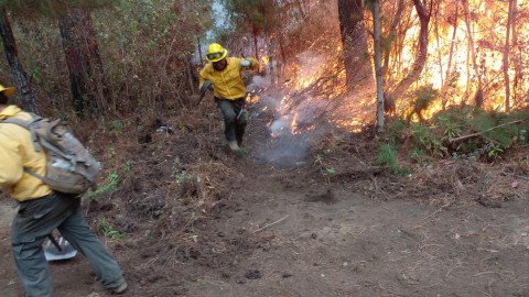 Conafor reporta 95 incendios forestales activos en México Contexto de