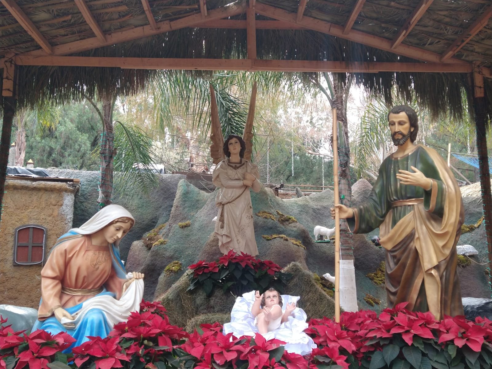 M S De Mil Personas Han Visitado El Nacimiento Del Parque Guadiana