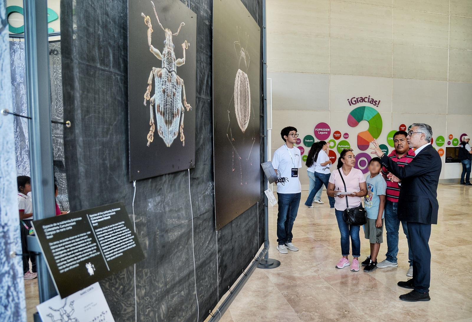 Exposición itinerante “INSECTUS” en el museo Bebeleche – Contexto de ...